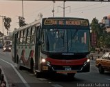 E.T. y Servicios Guadulfo Silva Carbajal (Per) 038, por Leonardo Saturno