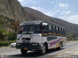 Lnea Los Caracoles (San Juan - Mrida) 24, por Leonardo Saturno