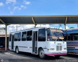 L�nea Tilca - Transporte Inter-Larense C.A. 21