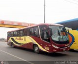 Empresa de Transporte Per Bus S.A. 699, por Leonardo Saturno