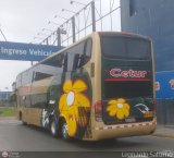 Cetur S.R.L. 951, por Leonardo Saturno