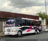 MI - Transporte Uniprados 010, por Alvin Rondn