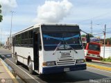 Particular o Desconocido 065 por M�guel Pino