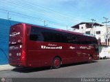 Transporte Colectivo Camag
