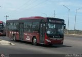 FA - Transfalcn 71, por Jesus Valero