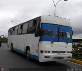 Bravos de Apure