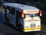 AR - Lnea Acotramora 23, por Brayner Tovar