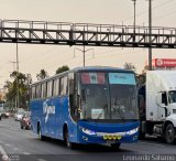 Bus Service Automotriz S.A.C. 951