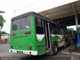 Unin Conductores Santa Ins 05, por Javier Parmalat 