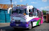 Expresos San Juan 66