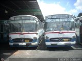 Garajes Paradas y Terminales Caracas, por Edgardo Gonzlez