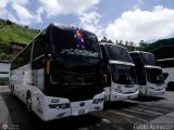 Expresos Flamingo 0220