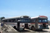 En Chiveras Abandonados Recuperacin Transporte Fatima