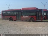 Bus Cuman