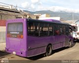 S.C. Lnea Transporte Expresos Del Chama 212