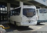 A.C. Don Augusto Malave Villalba 125 Servibus de Venezuela Onix Hino FC4J