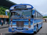 L�nea El Rosario 10