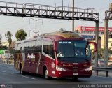 Empresa de Transporte Per Bus S.A. 428, por Leonardo Saturno
