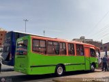 Coop. Transporte Menca de Leoni 080