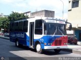 Particular 555