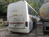 Expresos Alianza 355