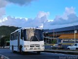 Global VIP 022 por Josu� S�nchez