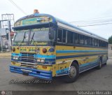 ZU - Colectivos Concepcin 029