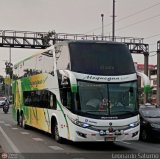 Empresa de Transporte Moquegua Turismo 954