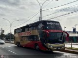 Transporte y Turismo Carlitos (Per�) 966