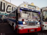 Micros Amarillas JN52