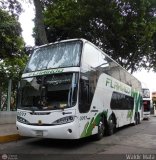 Expresos Flamingo 0097