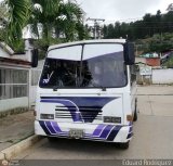 A.C. de Transporte Los Rapiditos de Montalbn