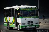 U.C. Los Caminantes 37