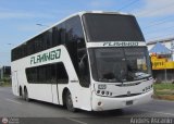 Expresos Flamingo 0220, por Andrs Ascanio