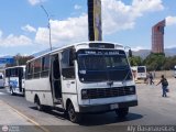 A.C. Uni�n Palo Negro 109 por Aly Baranauskas