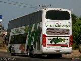 Expresos Flamingo 0110