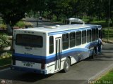 Lnea Arvelo 04, por Royner Tovar