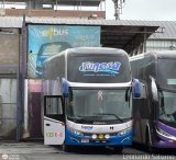Tunesa Transportes (Per) 966