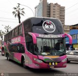 Expreso Rojas Rojitas S.A.C. (Per) 958