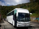 Expresos Valle de Guantar 55, por Aly Baranauskas