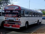 Expresos La Gran Colombia 28, por El Niobs