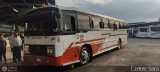 Transporte Guanarito 12