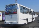 Transporte Virgen del Carmen 49, por Andrs Ascanio