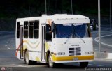 Unin Victoria 24, por Pablo Acevedo