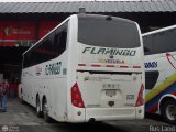 Expresos Flamingo 0220, por Bus Land