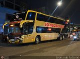 Empresa de Transporte Guadalupe Tours 950, por Leonardo Saturno