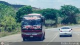 Sin identificacin o Desconocido Ortiz