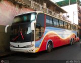 Transporte e Inversiones Jose Perozo C.A.
