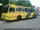 Transporte Valles Altos de Carabobo 011, por Victor Rojas 