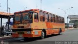 Transporte Carache 02, por Leonardo Saturno